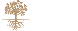 Mattarena